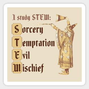 STEM wizard Magnet